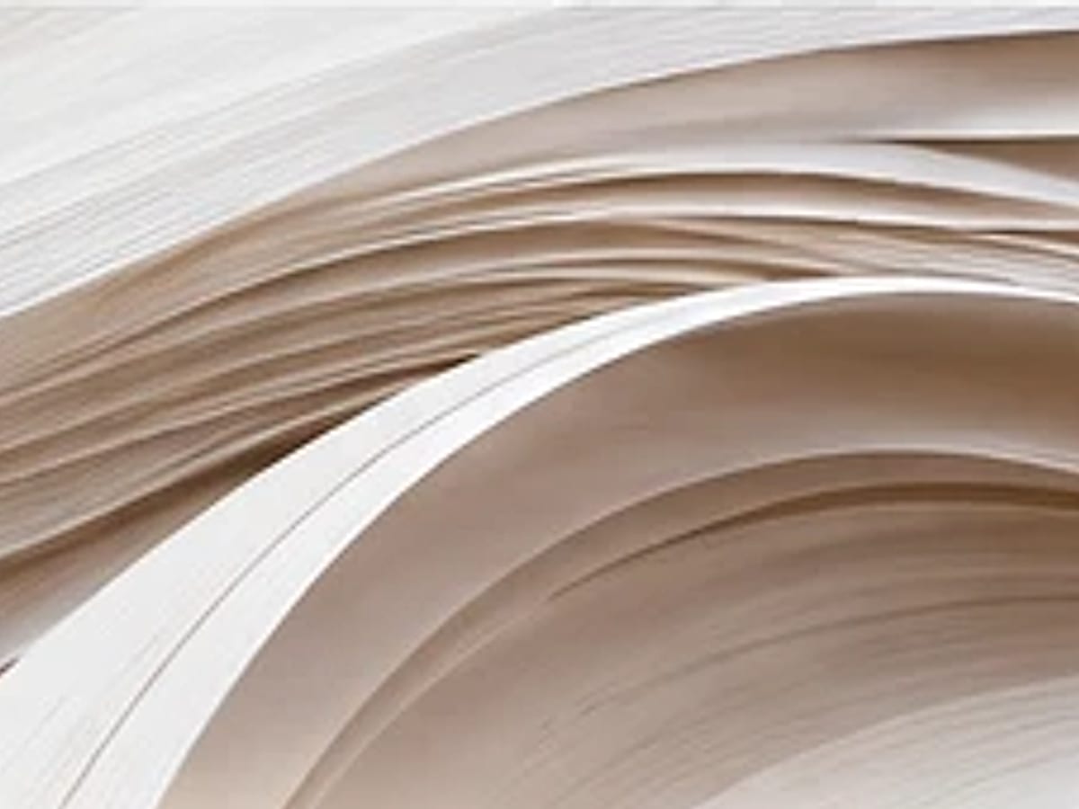 Paper Day Celebration cover photo